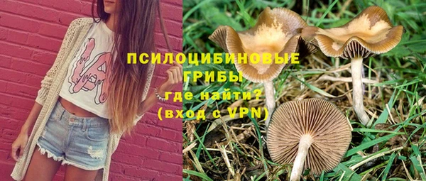 spice Красноперекопск