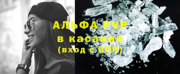 дживик Корсаков