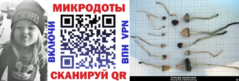 omg ссылки  наркота  Котово  Галлюциногенные грибы Psilocybine cubensis 